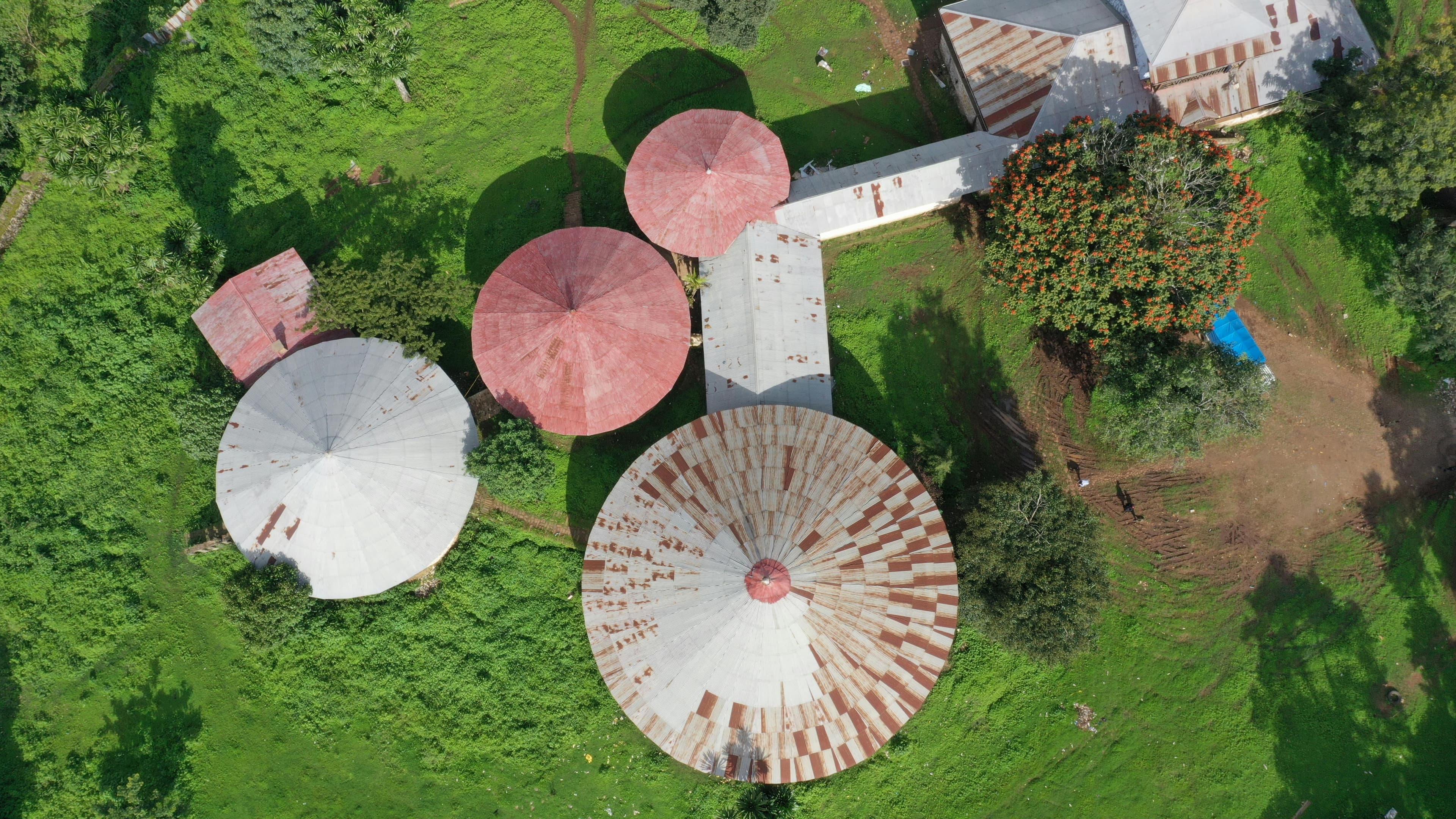 Traditional round buildings surrounded by green landscape in Ethiopia